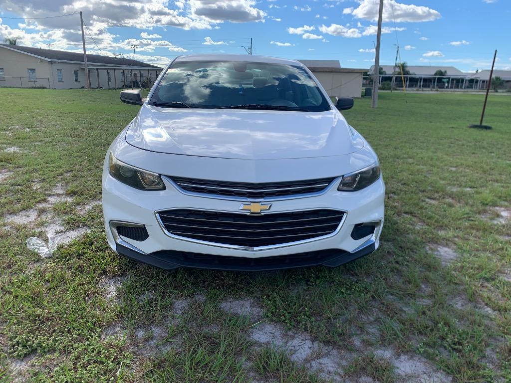 2018 Chevrolet Malibu 1LS's photo